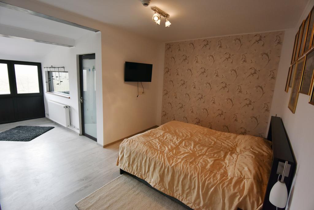 Pensiunea Casa Elena Agnita Zimmer foto