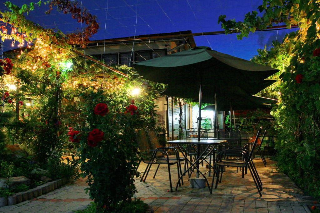 Pensiunea Casa Elena Agnita Exterior foto
